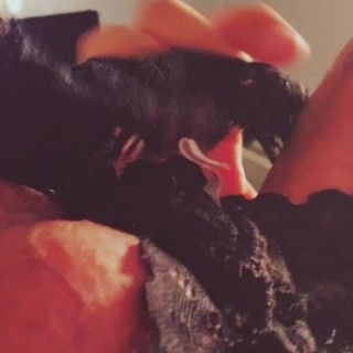 Извращенец пердолит игрушечную бабу