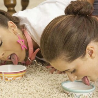 Две любовницы классно шалят орально